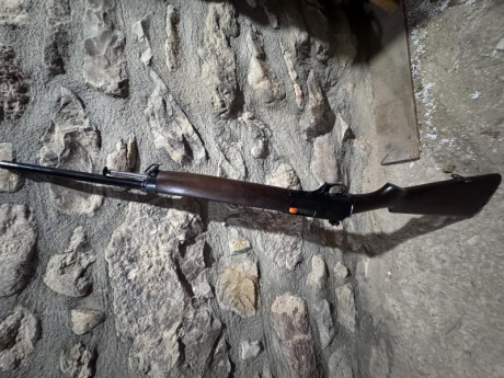 Vendo winchester self loading rifle del 351 win. El rifle lleva 10 cargadores, dies, vainas, puntas y 02