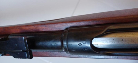 Buenas tardes a todos, por cese de afición pongo a la venta la totalidad de mis armas de fuego, intentaré 81