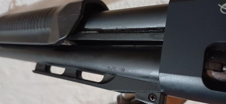 Buenas tardes a todos, por cese de afición pongo a la venta la totalidad de mis armas de fuego, intentaré 142