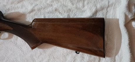 Buenas tardes a todos, por cese de afición pongo a la venta la totalidad de mis armas de fuego, intentaré 22