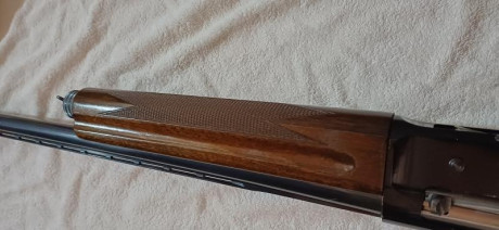 Buenas tardes a todos, por cese de afición pongo a la venta la totalidad de mis armas de fuego, intentaré 30