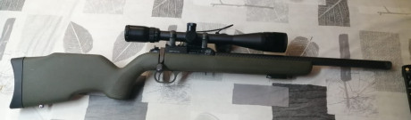 Vendo esta diana R-22, no la he utilizado mucho, la compre hace año y medio por curiosidad, para probarla, 120