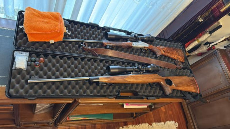 Vendo blaser r93 

CAL. 270 WSM con Magnaport
Culata madera thumbhole
Montura y visor Swarovski Z6i 3-18x50 22
