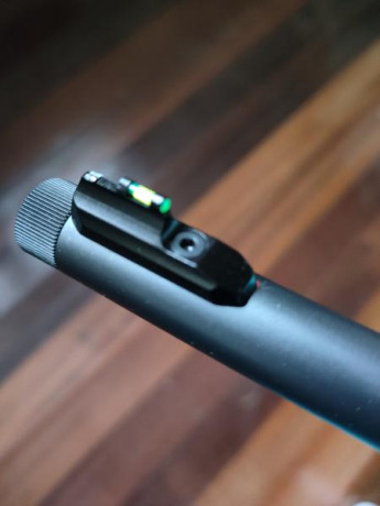 Buenas tardes. Pues estoy intentando buscar un punto de mira para mí carabina Thompson tcr/22. Le he dado 00