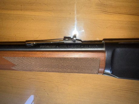 Se vende palanquero winchester 9422 xtr cal22lr
En estado impecable sin uso  
Se encuentre en Alicante 00