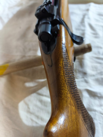 Rifle sabatti calibre 7mrm Remington Magnum 
Monturas apell desmontables anillas de 30 mm
Precio 550€ 10