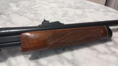 En muy buen estado, con cargador original y cargador adicional de 10 balas. Carril picatiny. Está en provincia 00