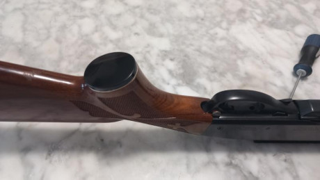 En muy buen estado, con cargador original y cargador adicional de 10 balas. Carril picatiny. Está en provincia 10