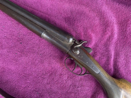 Alguien está interesado en este tipo de escopetas? 00