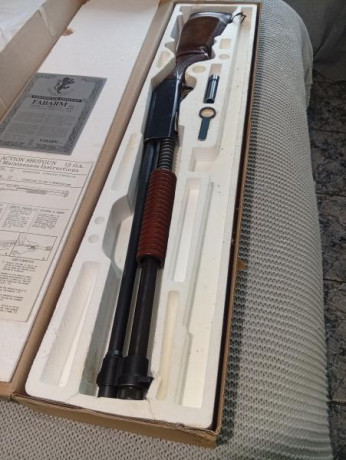  IMG_20260215_171501.jpg  IMG_20260215_171501.jpg  00