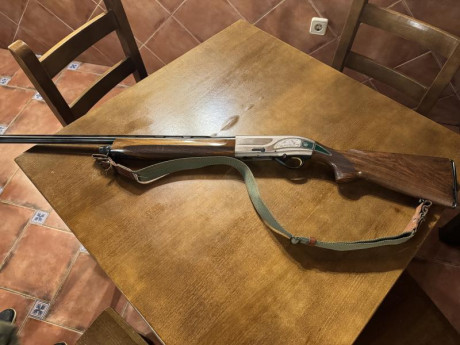 Vendo Beretta AL 391 Tecnys  Cal 12, Lágrima verde, en muy buen estado. Apenas a salido a cazar. Está 02