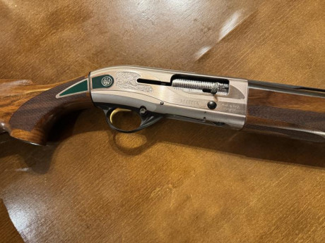 Vendo Beretta AL 391 Tecnys  Cal 12, Lágrima verde, en muy buen estado. Apenas a salido a cazar. Está 01