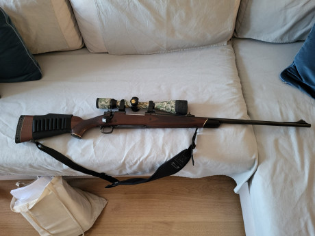 Por no usar, vendo rifle winchester model 70, en calibre 264 wm. Cañon de 24 pulgadas, bases picattiny. 00