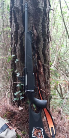 Buenas, haber si me podéis aclarar una duda, estoy pensando en comprarme un  rifle y he decidido montarle 72