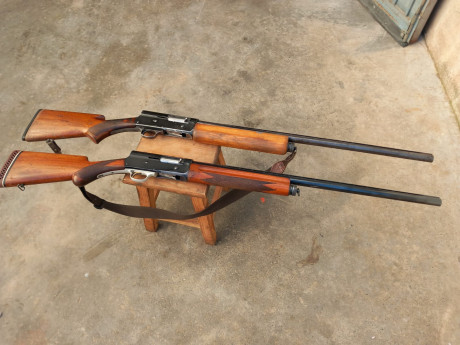 Buenas noches. Pongo este anunció de un amigo que no le gustan los ordenadores para más información contactar 00