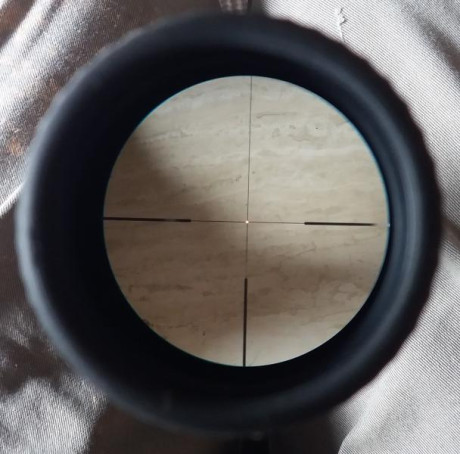 Buenos días,

Se vende visor Docter V6 1-6×24 con retícula iluminada regulable (sistema shifcontrol) con 10