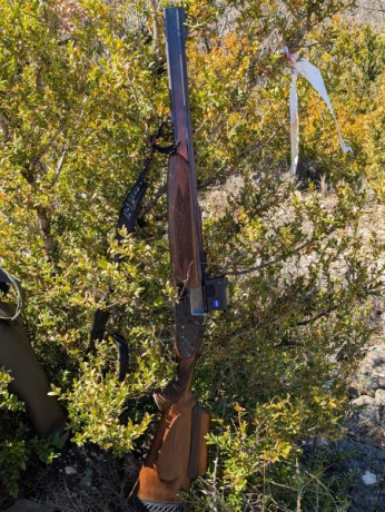 Se vende express superpuesto Brno modelo Súper calibre 7x65R. Expulsor. Dispone de lomo regulable en altura 151