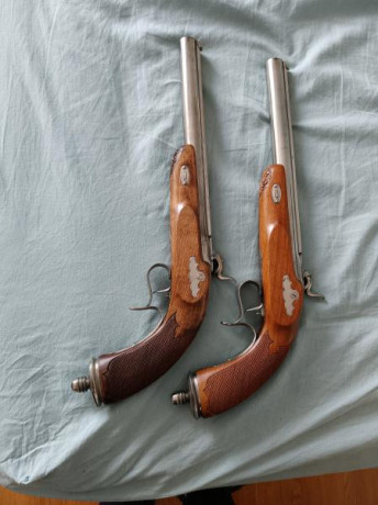 Buenas tardes.

Vendo dos preciosas pistolas de duelo, F. Rochatte Paris cal 45. Del fabricante AMR.

La 00
