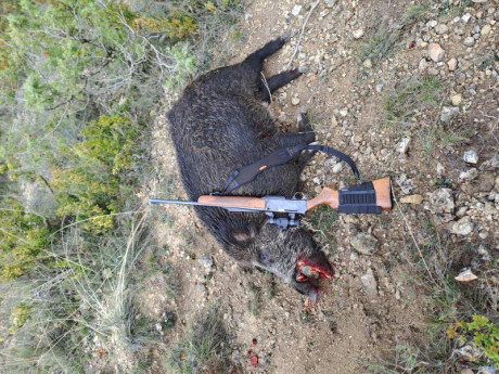 Buenas Noches, Estoy interesado en Cambiar Mi Browning del 3006 x un Semi del 300wm
El rifle es Un Browning 01