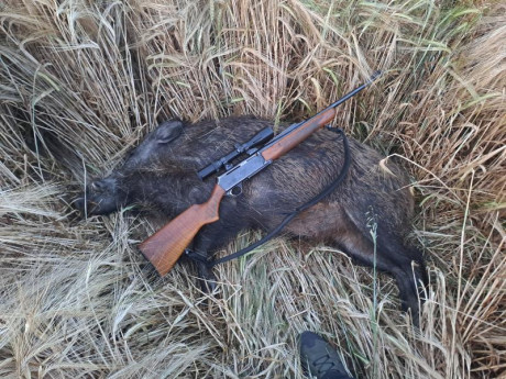 Buenas Noches, Estoy interesado en Cambiar Mi Browning del 3006 x un Semi del 300wm
El rifle es Un Browning 00