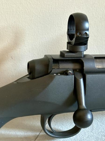 Buenos días. Por exceso de armas, vendo rifle con las monturas y las anillas listas para montar un visor 01