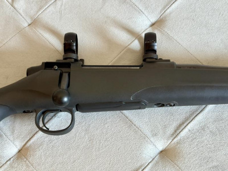 Buenos días. Por exceso de armas, vendo rifle con las monturas y las anillas listas para montar un visor 12