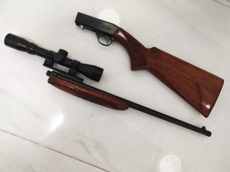 Norinco JW20 22lr.

Desmontable en dos piezas. Cañón roscado 1/2" UNF con protector.

Incluye raíl 01