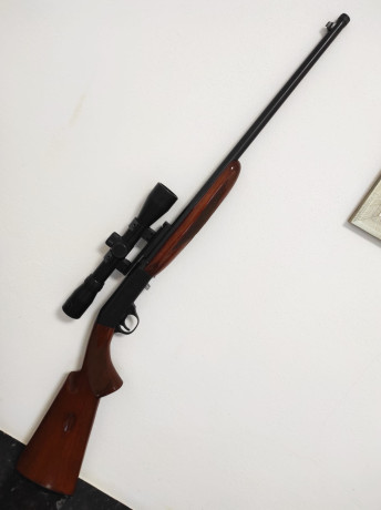 Norinco JW20 22lr.

Desmontable en dos piezas. Cañón roscado 1/2" UNF con protector.

Incluye raíl 00