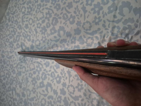 OJO – LEER BIEN 

 80€ !!!!! 

Pongo a la venta esta escopeta superpuesta AZHUR EIBAR, IMPORTANTE: AVERIADA 01