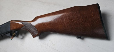 Semiautomatica Anschutz calibre 22 con muy poco uso.
Muy precisa, desmontable 
Se vende con 2 cargadores 00