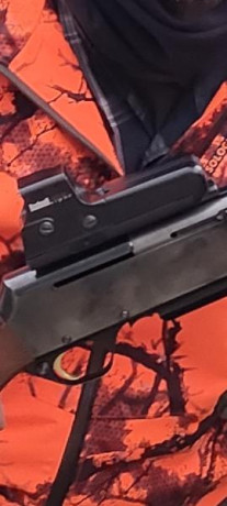 Hola a todos, me acabo de comprar un palanquero en 45-70 y estoy mirando para comprarme un red dot o un 161