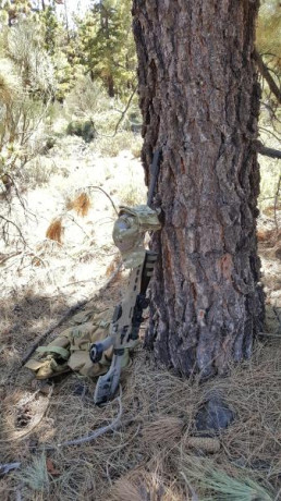Hola companeros.

Se las pistolas y AR-15 que estan permitidos en Espana (en el caso de los AR-15 solo 150