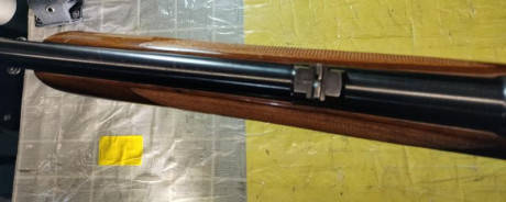 Cambio rifle acción Mauser cal 8x57IS por otro en cal .222 rem o arma de fuego q me pueda interesar.. 90