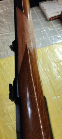 Cambio rifle acción Mauser cal 8x57IS por otro en cal .222 rem o arma de fuego q me pueda interesar.. 101