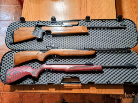 Ya habéis puesto a parir a Gamo, algunas cosas con razón y otras con menos.

Toca el turno a las de siempre.

Por 150