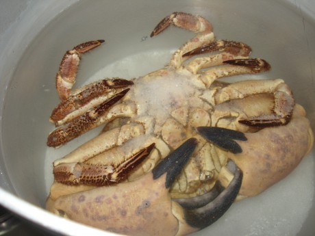 Queridos amigos: ante las expectación :8 causada por el desayuno que me he pegado esta mañana, el cual 21