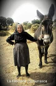 Para que no os aburráis 
Se me acaba de ocurrir aburráis viene de burra?

https://youtu.be/hjNJJ99WmWo?si=Cy1nFQoJwGa066la

Criket 20