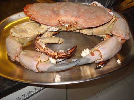 Queridos amigos: ante las expectación :8 causada por el desayuno que me he pegado esta mañana, el cual 30