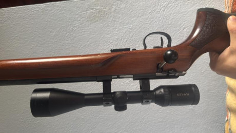 Se vende Anschutz 1517 HB 17 HMR, cargador de 5 balas.
       Construido sobre una acción 64 de Anschutz 01