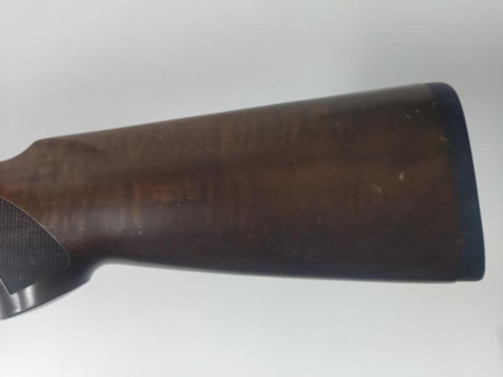 Vendo Escopeta Beretta calibre 12 modelo AL 391 URIKA con polichoques. Precio 450€ portes incluidos. 00