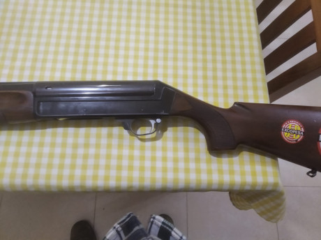 Le publico a un amigo una de sus escopetas que quita para adquirir una Be-Diamond. Lo dicho, se trata 01