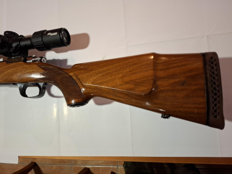 Vendo rifle Santa Bárbara C75 Calibre .308 y visor 3,5-10x42 mm (también conocido como Modelo Coruña C75). 00