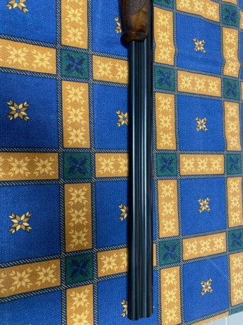 Un amigo vende esta Beretta  en calibre 20,,,perfecta de maderas , aceros,,etc, no ha disparado mas de 31