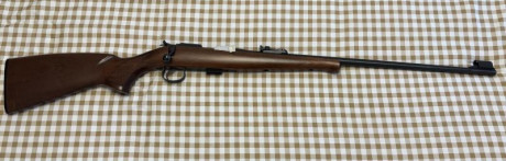 Hola amigos, estoy leyendo mucho pero por separado de nuestras queridas CZ | Brno del .22LR. Se podría 110