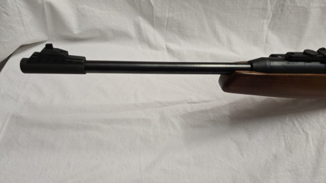 Ahora el turno de esta Diana 48
Impecable de estado y funcionamiento
Calibre 4,5 Potencia sobre los 23j 22