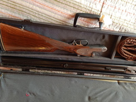 HOLA COMPAÑEROS PONGO A LA VENTA ESCOPETA PARALELA UNION ARMERA HOY LLAMADA GRULLA 212  DEL 12 UNA ESCOPETA 01