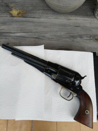 Buenos días

Cambio mi revolver pietta Remington new model army shooter, cal 44 y cañón de 8".

Quizás 12