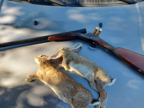 Hola compañeros . Compraría paralela calibre 20 de fabricación nacional 10