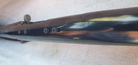 Buenos días, he desmontado el visor que llevaba fijo un Remington 280 y he visto que los tornillos habían 81