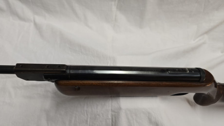 Buenos días

Hoy os ofrezco esta walther lg55 sin accesorios

Para tiro informal o iniciación al tiro 21